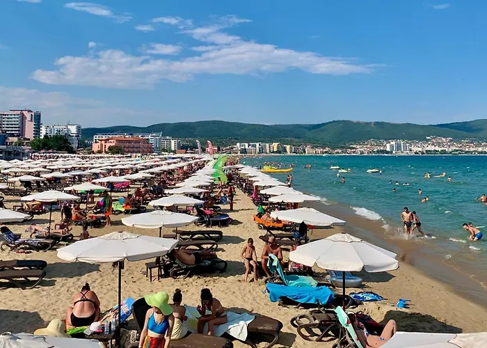 Prime Location Midia * Sunny Beach